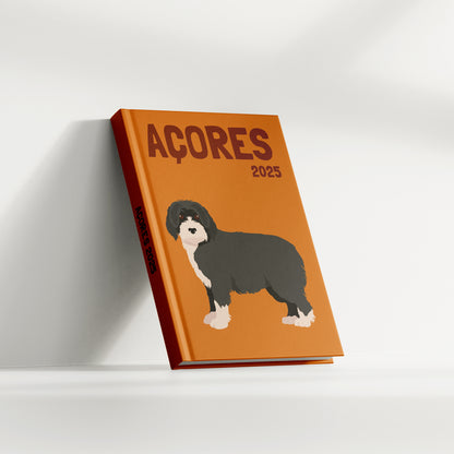 Travel Photo Book (70 Pages)